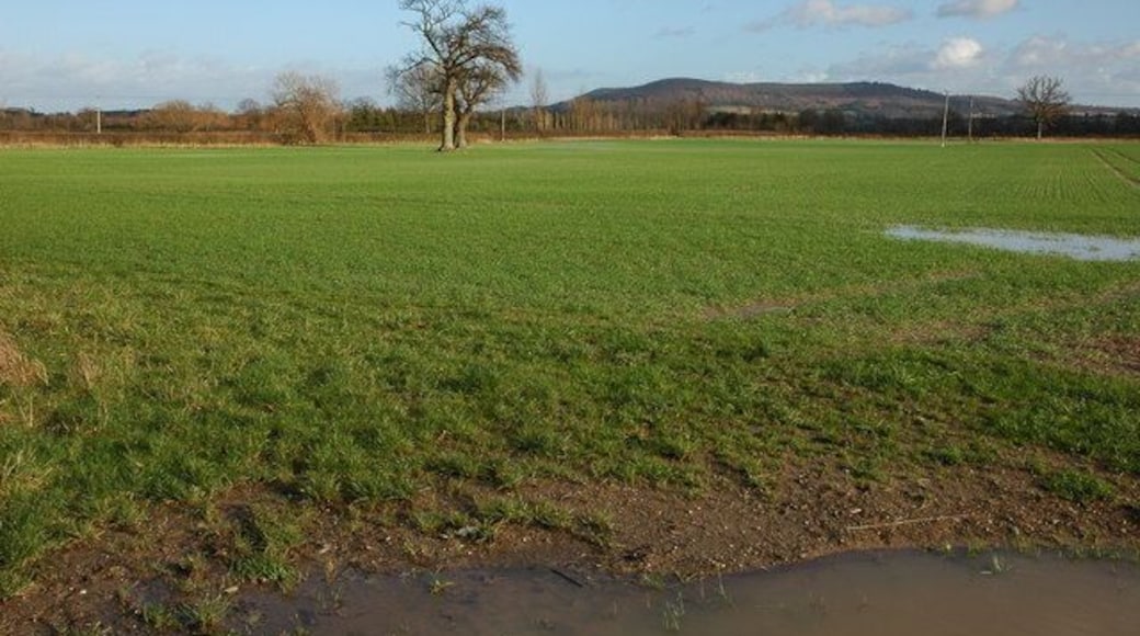 Low lying farmland at Letton