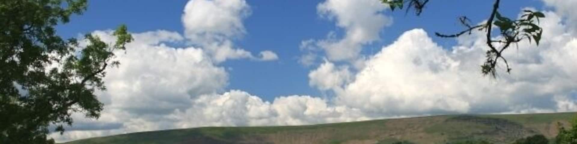 The Black Mountains from Fair Oak (Farm) The yellow is a meadow of buttercups and not rape. Fair Oak has ceased to be a working farm, though OS maps still refer to it as Fair Oak Farm.