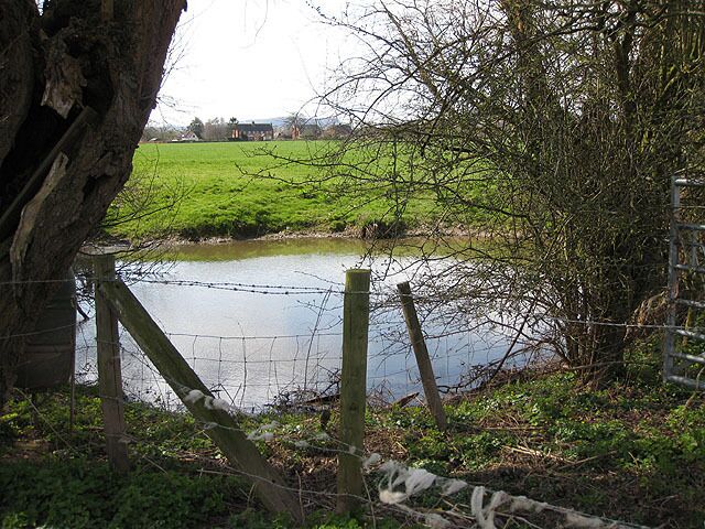 A rural landscape with a pond, a wooden fence, and a tree.
