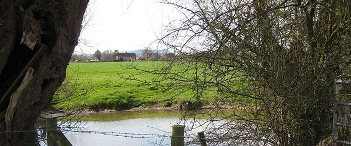 A rural landscape with a pond, a wooden fence, and a tree.