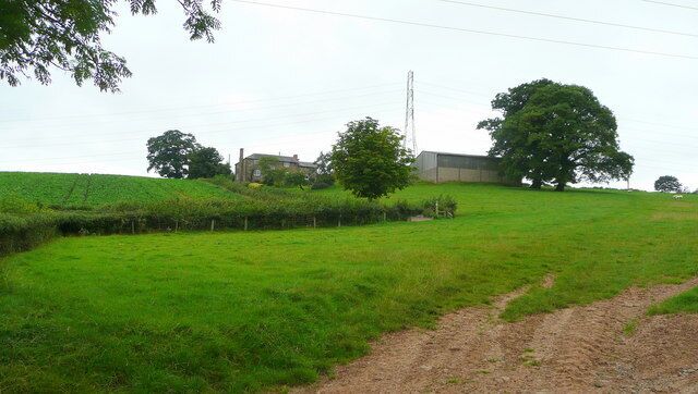 A rural landscape with a dirt path, green fields, a large tree, and a building in the background.