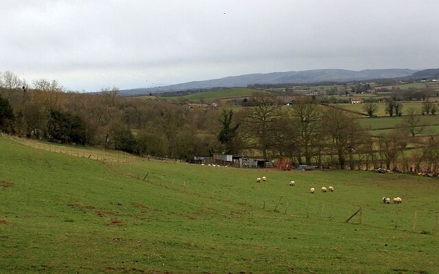 Animal shelters near The Bank From the bridleway passing by Broxash Wood.