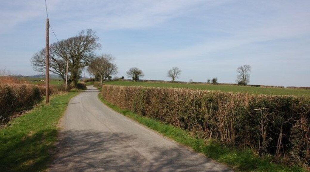 Lane near Coed Poeth Farm