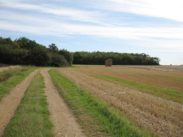 Farm track and Priest Wood. To the Southeast of Bramfield, Priest Wood is an area of mixed woodland with hedges to regulate points of entry. The track leads to Waterford Hall Farm.