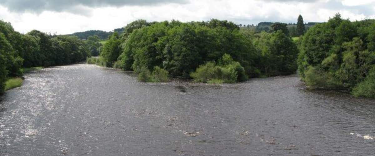 A river with a gravel bed, surrounded by dense greenery and trees.