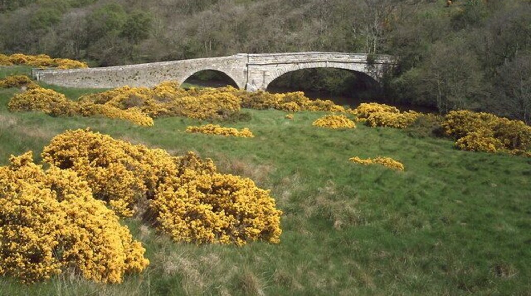 East Woodburn Bridge A very interesting bridge spanning the River Rede near East Woodburn. Despite a lot of research I have been unable to unearth any historical facts about this crossing on the Border County Ride drove road. The main span, crossing the river itself, would appear to date from the late 18th Century. The section on the left of the photograph would appear to pre-date this. There is a very faint engraving on a stone pillar on the western entrance of the bridge which may read 1732. The main span must have been replaced at some time in the 18th Century and 'tagged on' to the remains of an earlier crossing. There are two clearly distinct architectural styles - dressed stone on the main span cf. rough stone on the earlier western approach. If anyone knows any better, I'd love to hear from them.