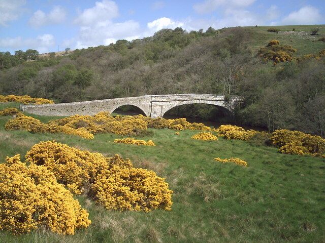 A stone bridge over a river, surrounded by yellow heather and green grass.