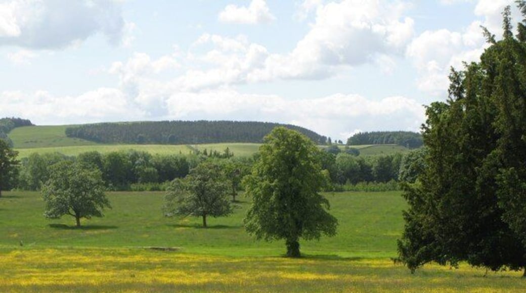 Chesters Estate south of Chesters Walled Garden. See 1461071.