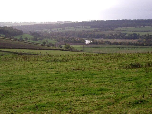 The Tyne Valley. Taken from MR: NY89286845