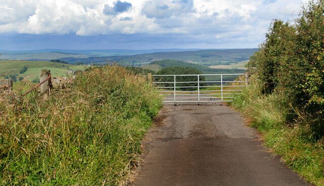 Birtley Gate on road to the north of Birtley.
