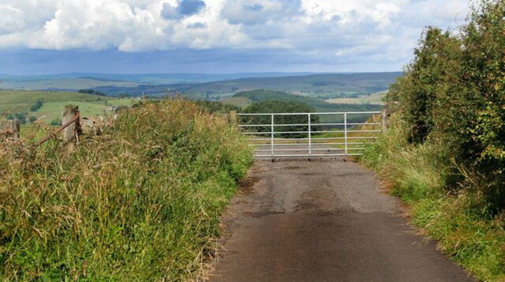 Birtley Gate on road to the north of Birtley.