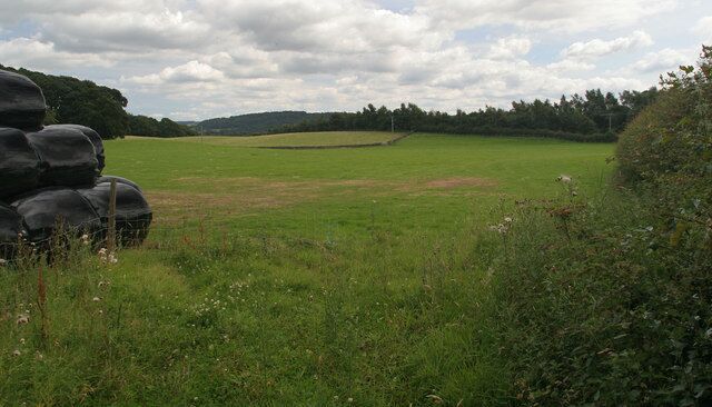 Bardon Mill Fields above Bardon Mill.