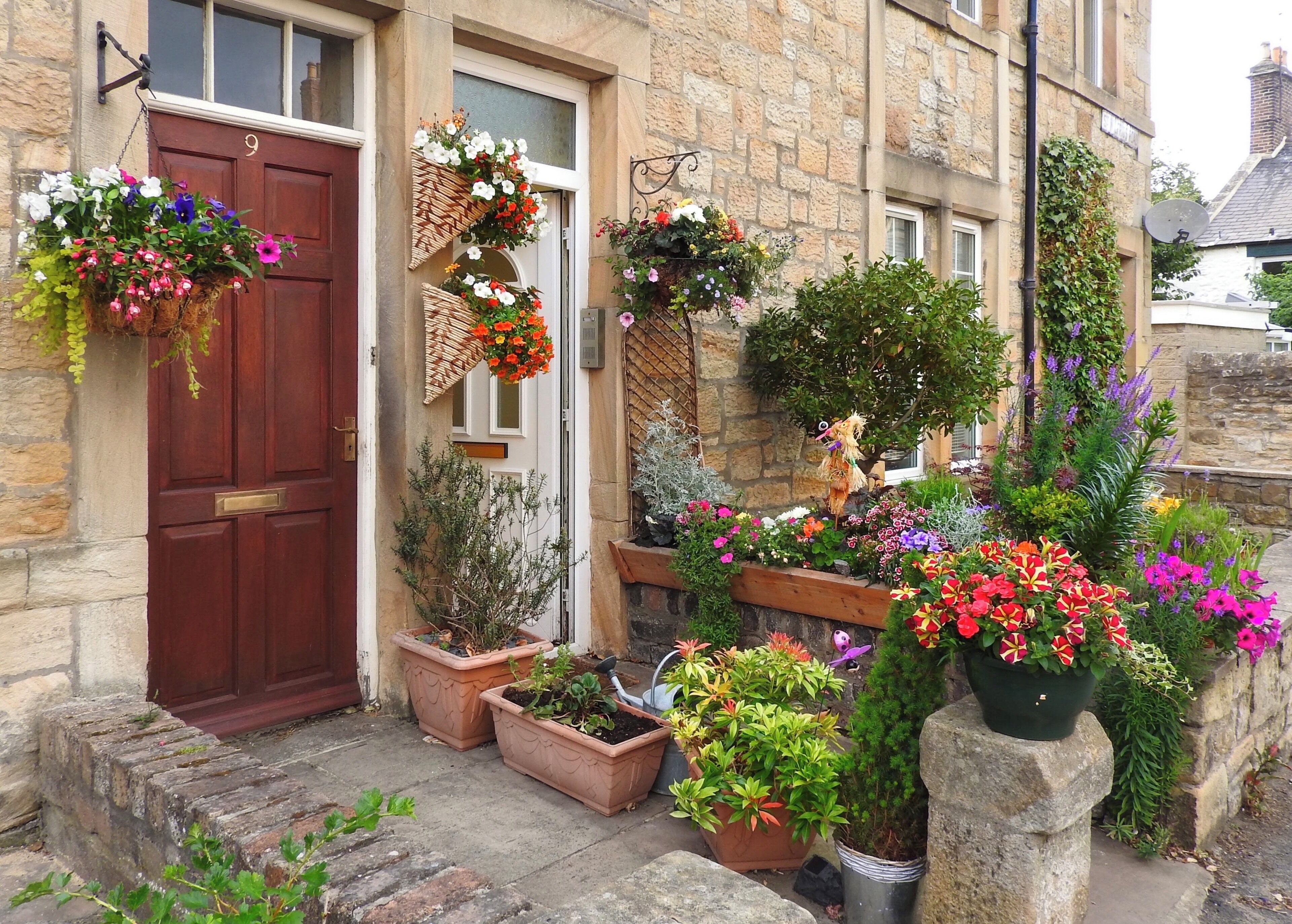 Home in Hexham, England, with a lovely garden in limited space. (June 2017)

#Trovember