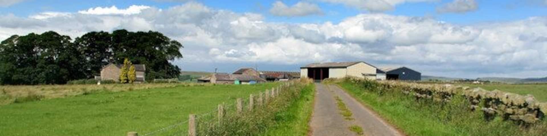 Birtley Shields Bitley Shields Farm near Birtley.
