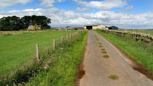 Birtley Shields Bitley Shields Farm near Birtley.