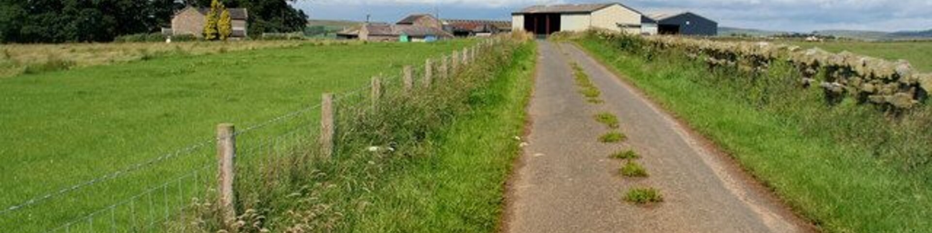 Birtley Shields Bitley Shields Farm near Birtley.