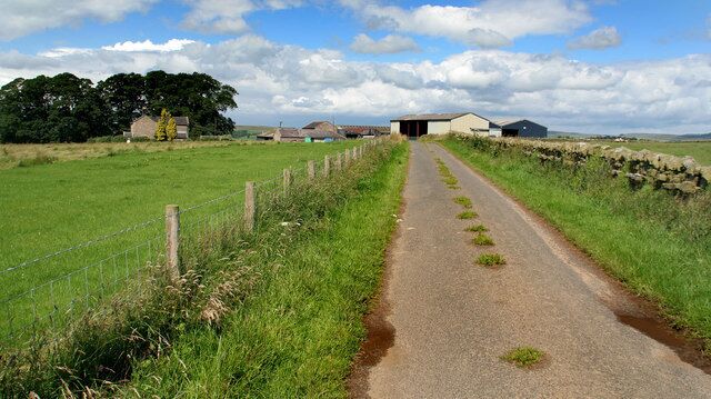 A rural road with a stone wall on one side and a fence on the other, leading to farm buildings in the distance.