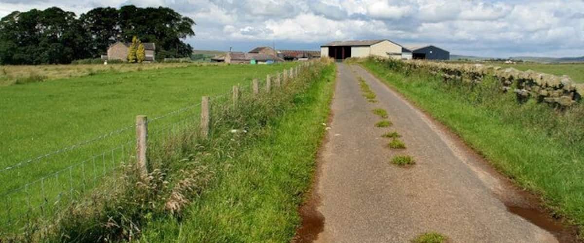 A rural road with a stone wall on one side and a fence on the other, leading to farm buildings in the distance.