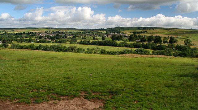 Eals Haugh Fields above Eals Haugh on the River North Tyne with Bellingham in the background.