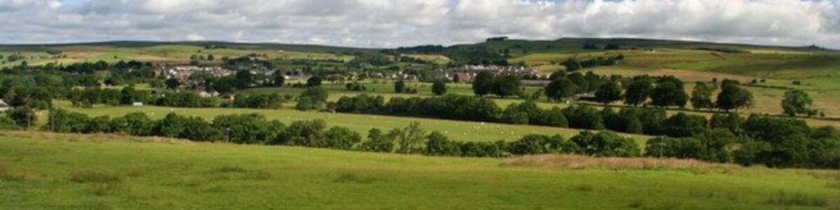 Eals Haugh Fields above Eals Haugh on the River North Tyne with Bellingham in the background.