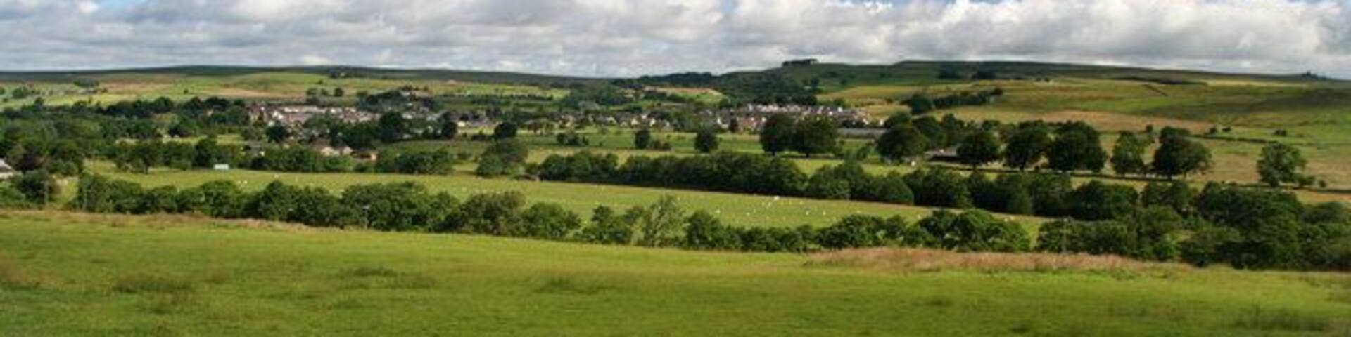 Eals Haugh Fields above Eals Haugh on the River North Tyne with Bellingham in the background.