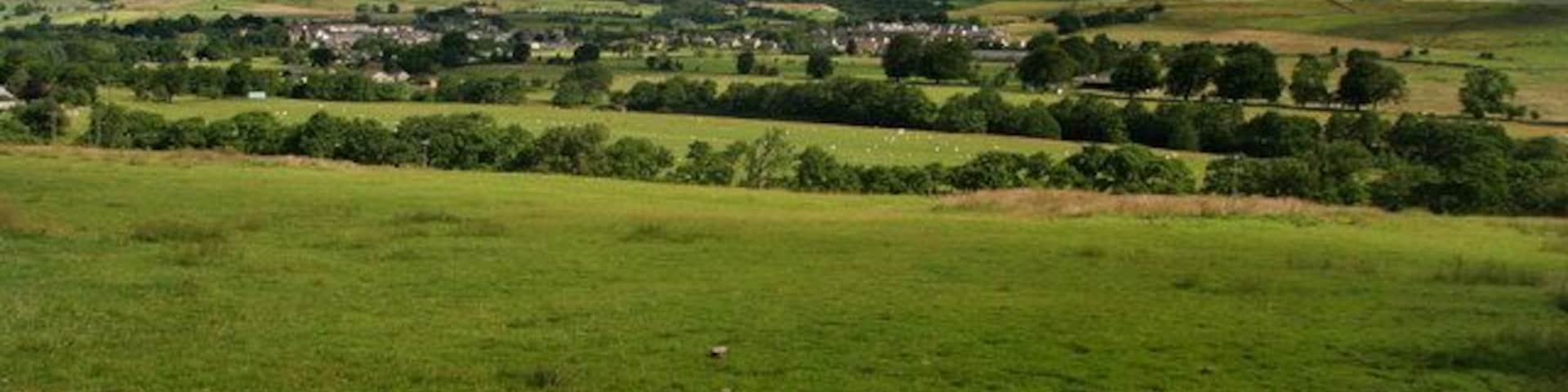 Eals Haugh Fields above Eals Haugh on the River North Tyne with Bellingham in the background.