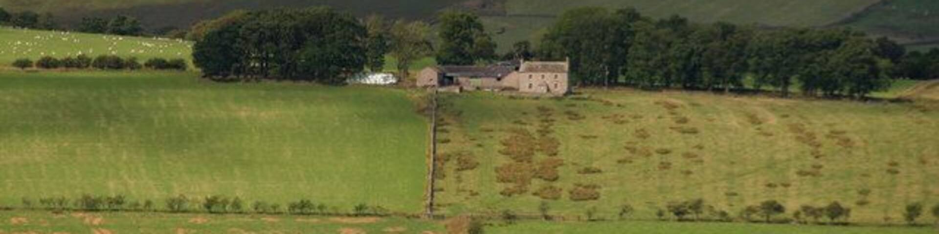 Rowside Rowside Farm.