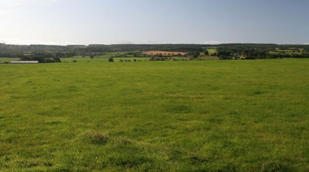 Slaley Fields at the east end of Slaley Village.