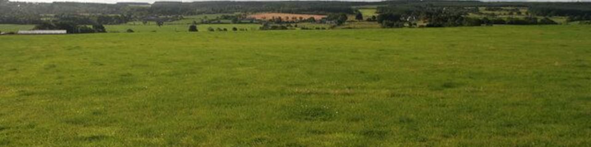 Slaley Fields at the east end of Slaley Village.