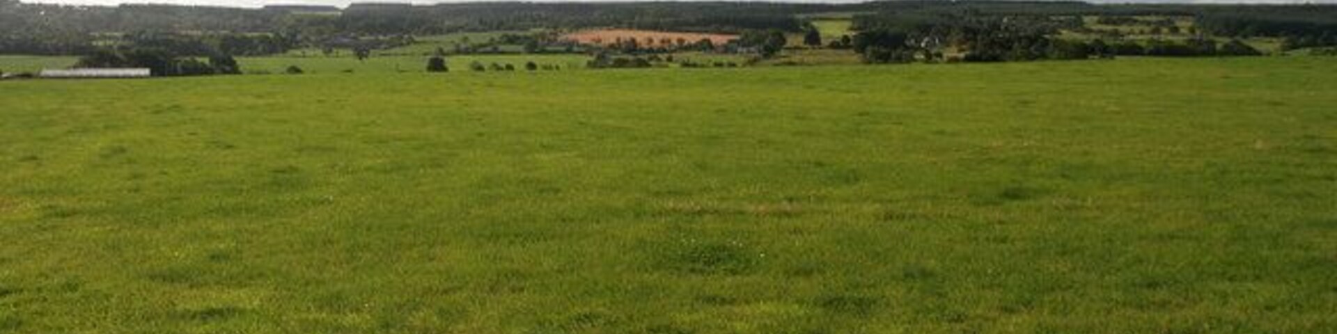 A vast green field with rolling hills and scattered trees in the background.