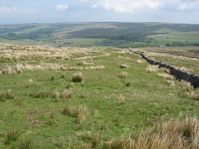 A grassy field with a stone wall and rolling hills in the background.