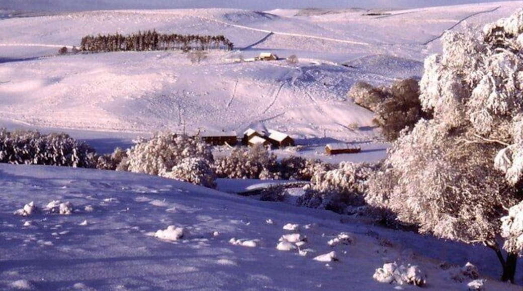 Tarset Valley in Winter
