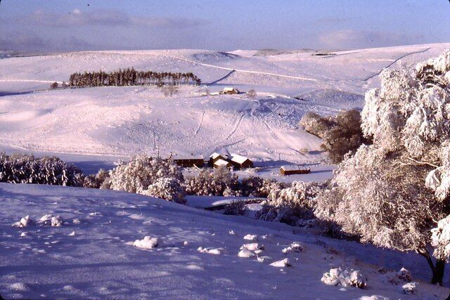 A snow-covered landscape with a wooden cabin, a dense forest, and a clear sky.