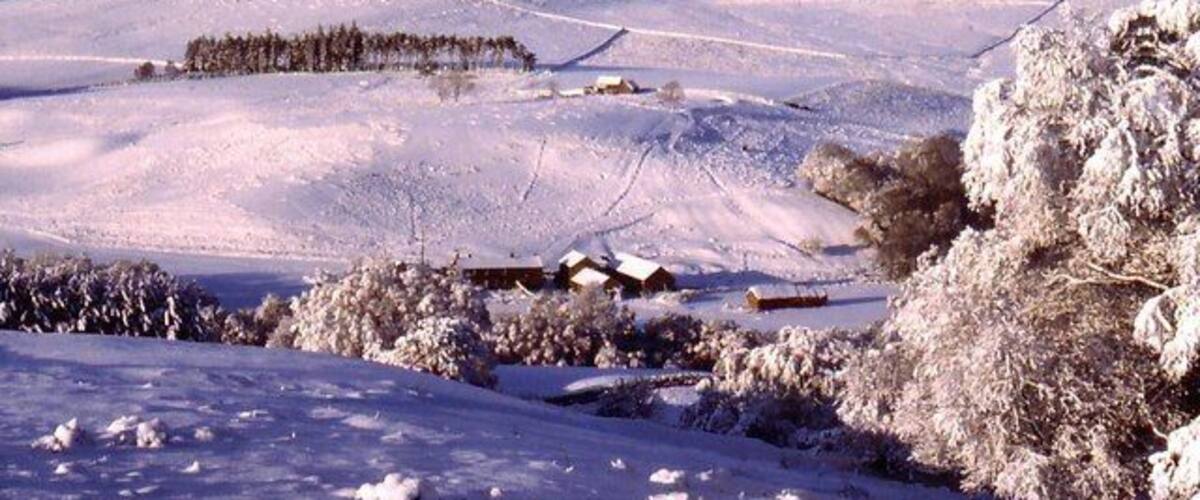 A snow-covered landscape with a wooden cabin, a dense forest, and a clear sky.