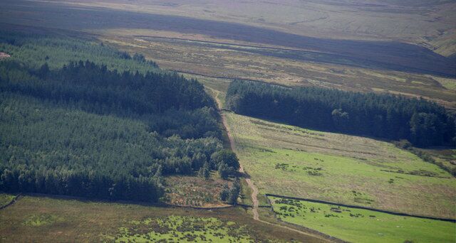 Parmontley Plantation View of Parmontley Plantation seen from Keenley Fell.