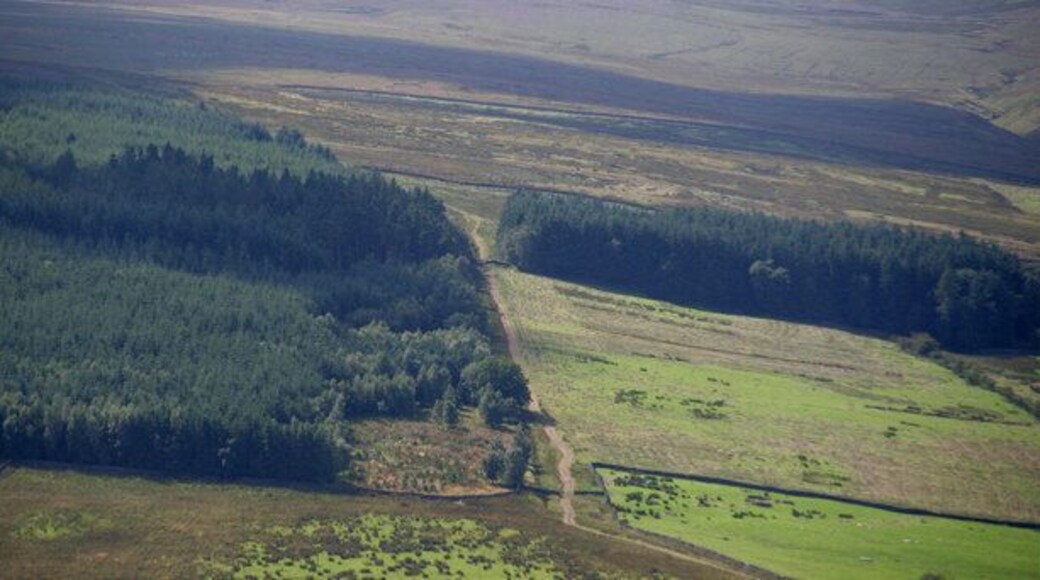 Parmontley Plantation View of Parmontley Plantation seen from Keenley Fell.