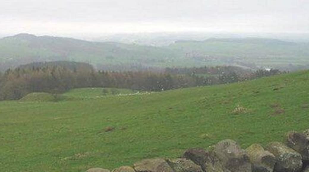 Allerwash Common Allerwash Common near Newbrough, looking over towards Fell Cottage.