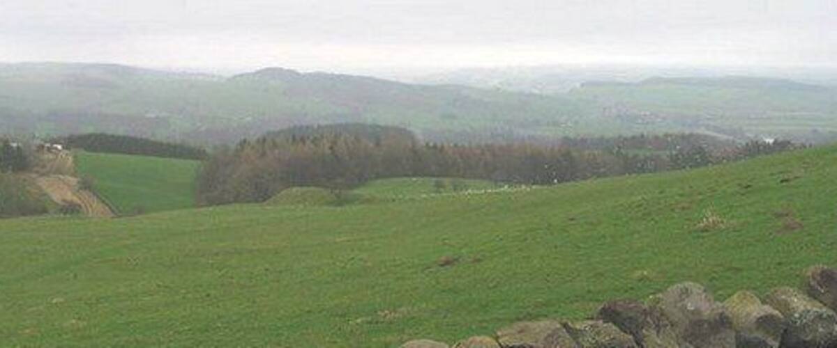 Rolling green hills, a stone wall, and distant trees.