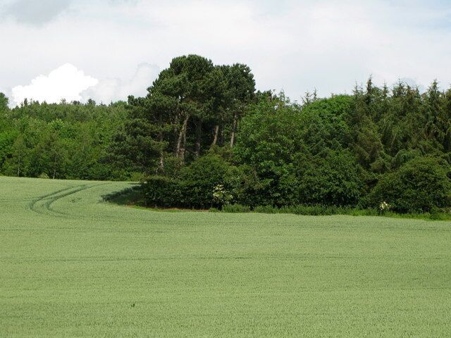 Arable land and wood north of Fourstones