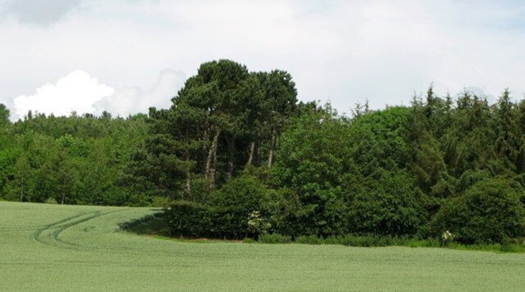 Arable land and wood north of Fourstones