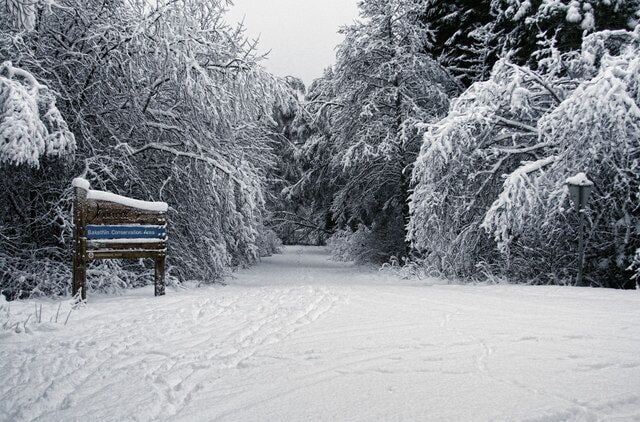A snow-covered path with a wooden signpost and dense, snow-laden trees.