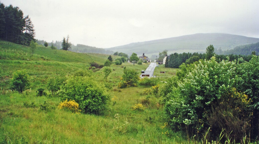 Approaching site of former Kielder Forest station, 2000. View to headwaters of River North Tyne, towards Riccarton Junction on the ex-NBR Hexham - Bellingham - Riccarton Junction (Border Counties) line. The station site is ahead, it and the line having been closed 15/10/56 to passengers, 1/9/58 to goods.