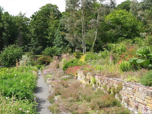 Chesters Walled Garden - the Thyme Bank. See 1461071.
