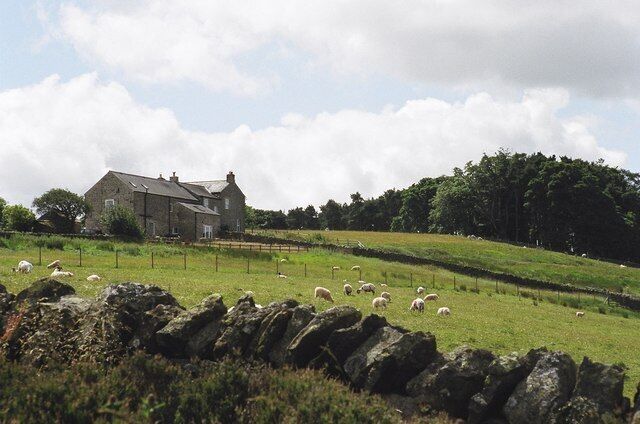 Finney Hill From the road above Lonkley Head Farm.