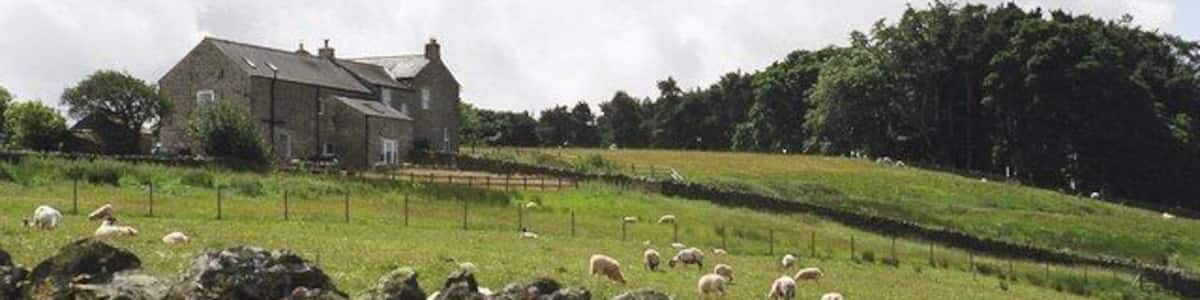Finney Hill From the road above Lonkley Head Farm.