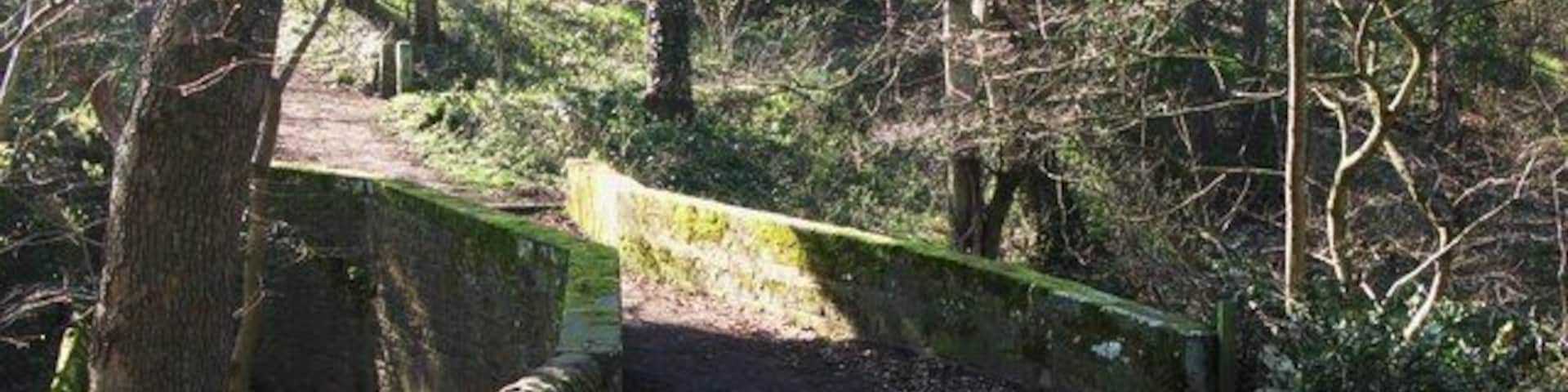 Bridge over stream south of Acomb