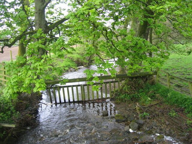 Red Burn near Simonburn