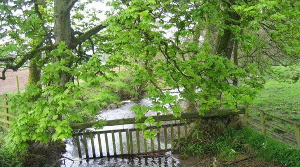 Red Burn near Simonburn