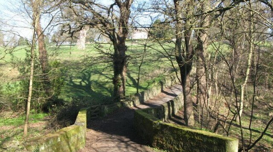 Bridge over stream south of Acomb (2). It is just possible to see 1269418 through the bare branches.
