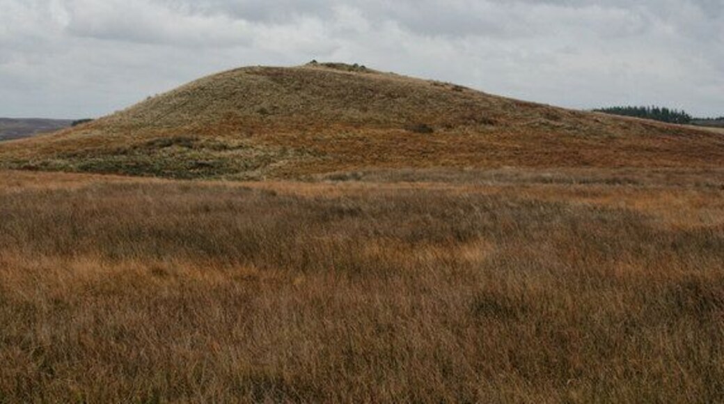 Cold Law Cold Law on Stiddlehill Common.